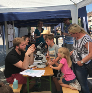 Microscopy of parasites at the Erlanger Hugenottenplatz at the Day of Immunology