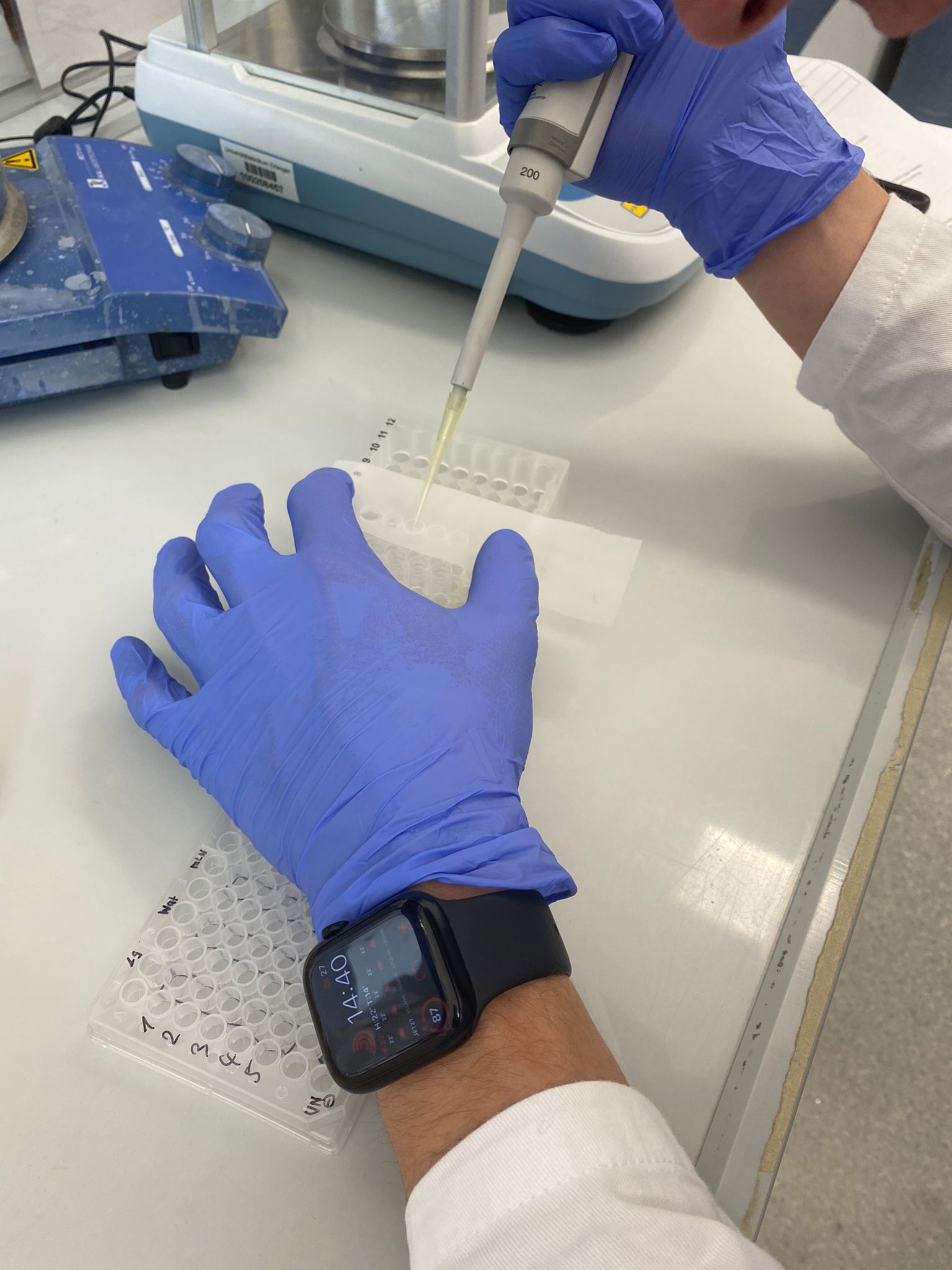 Pipetting into a well plate.