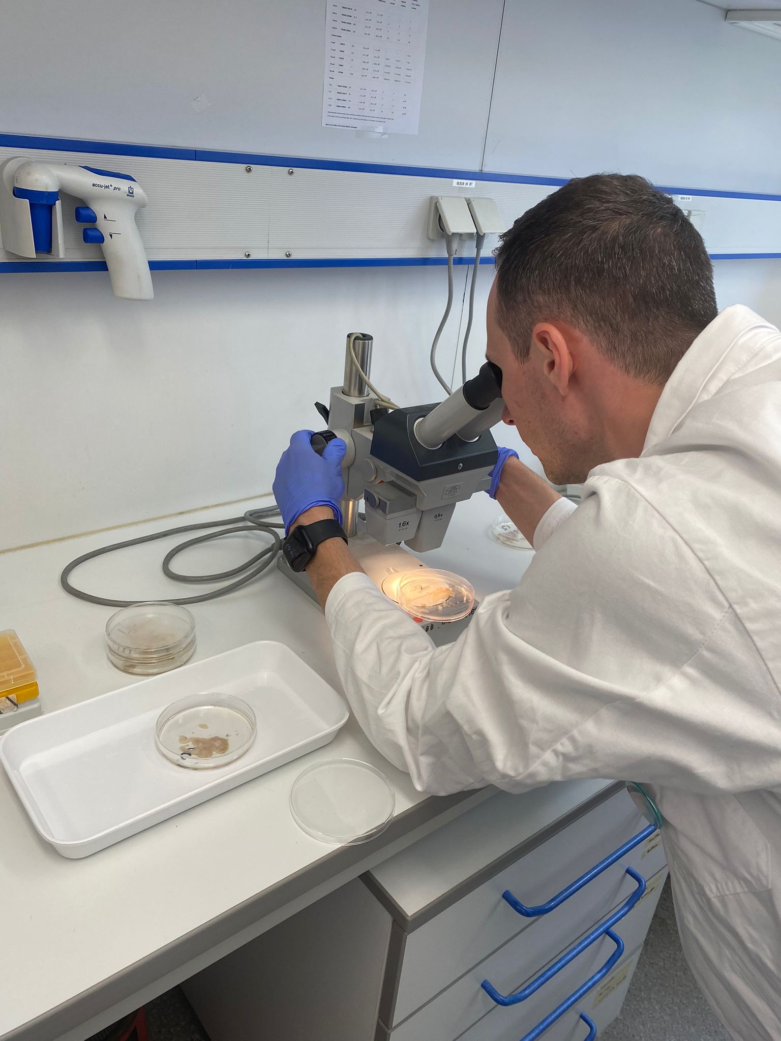 Student taking a look through the microscope.