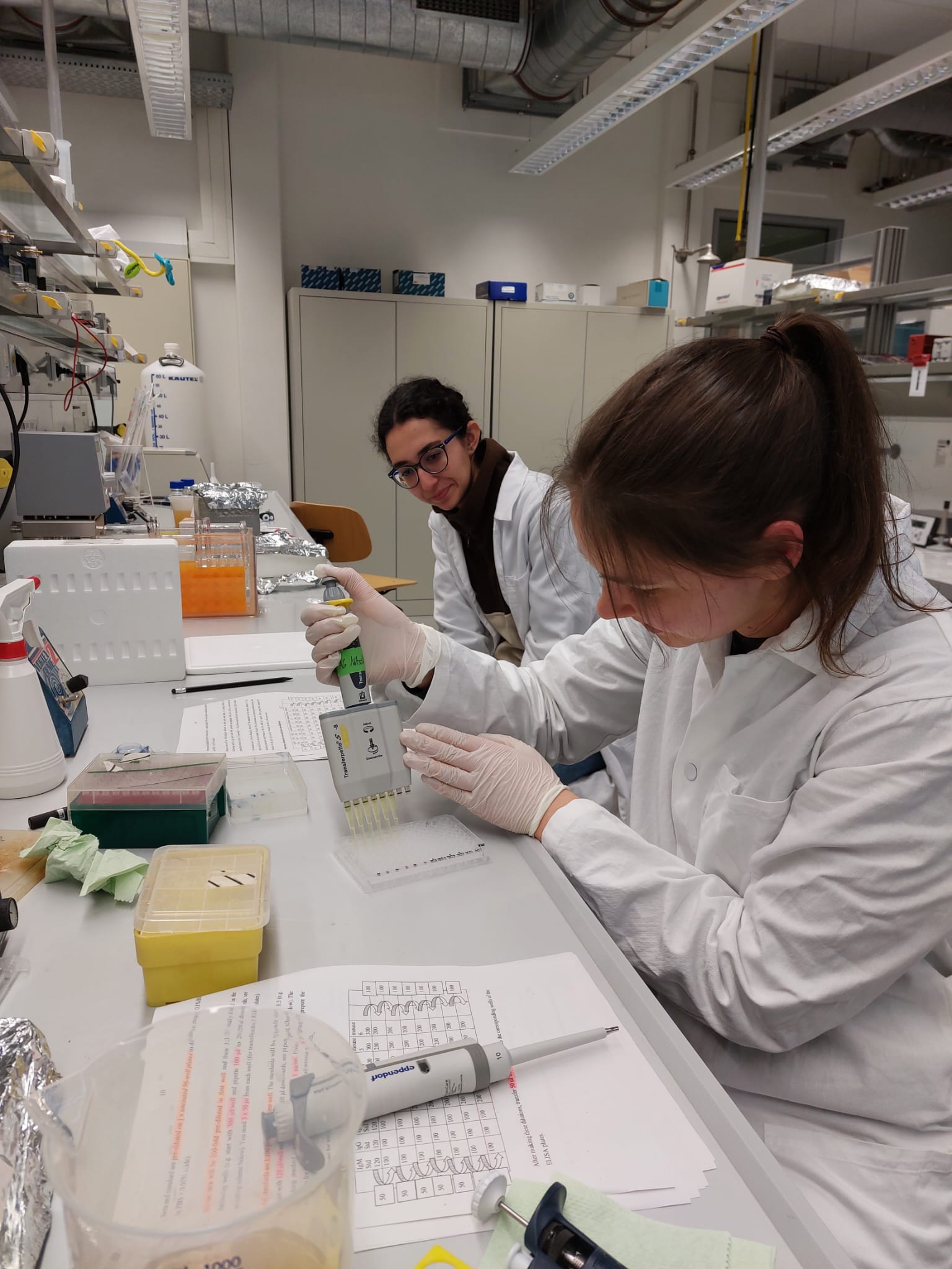 Student using a multichannel pipette to fill a well plate with samples.