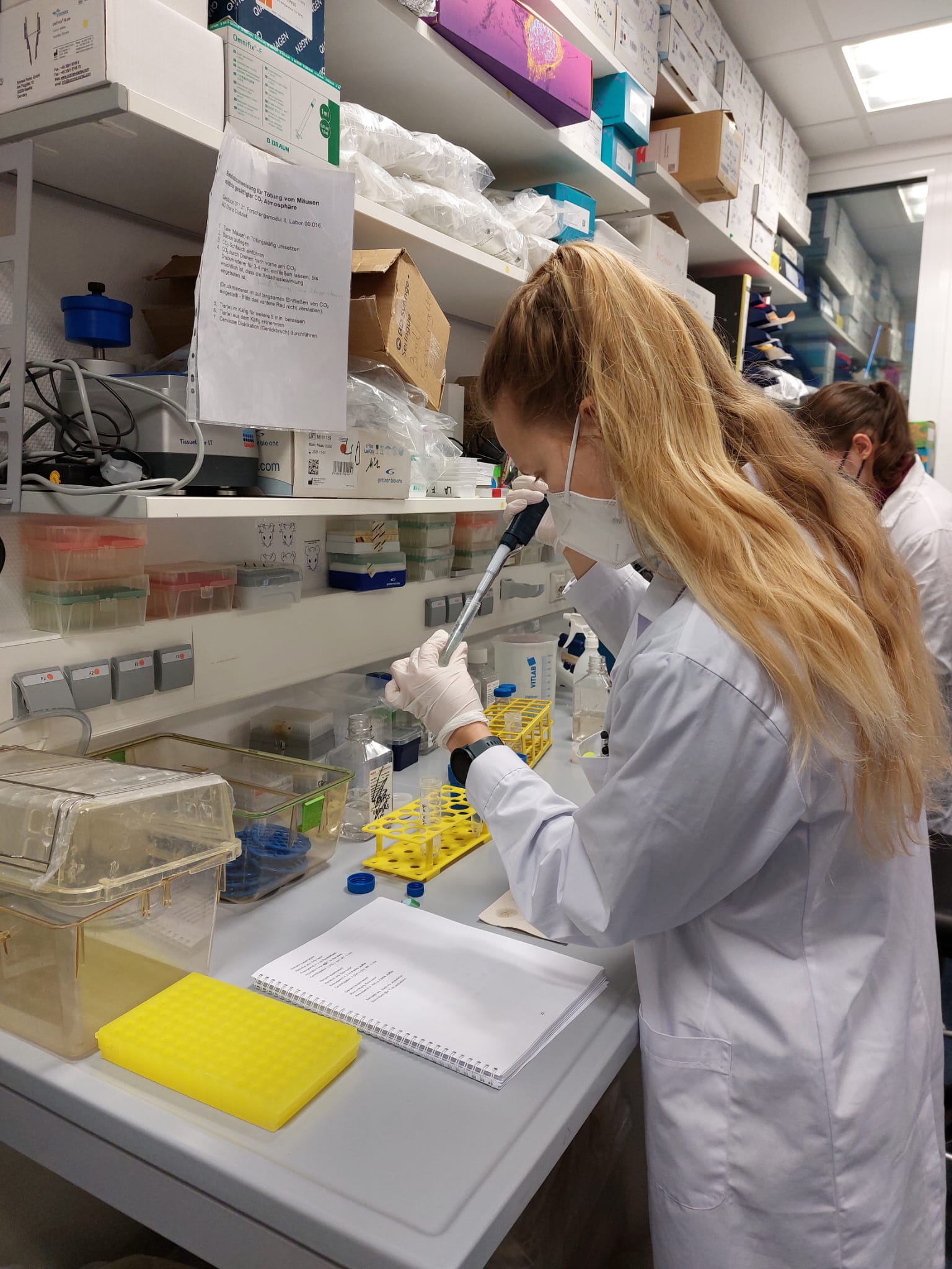 A student diluting a sample via piptetting.