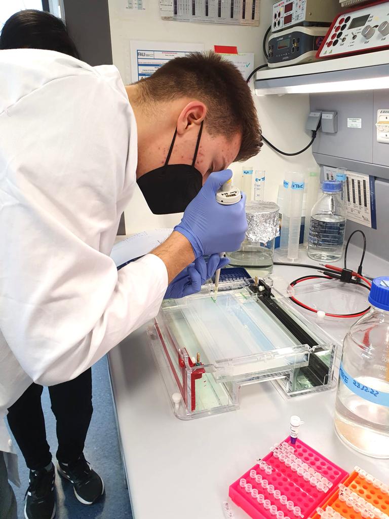 A student loading the samples to a gel with a pipette.